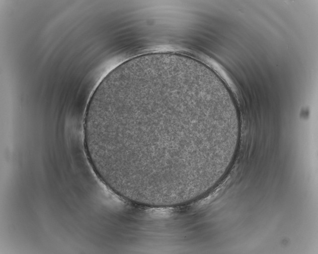 X0000090730810200708101638