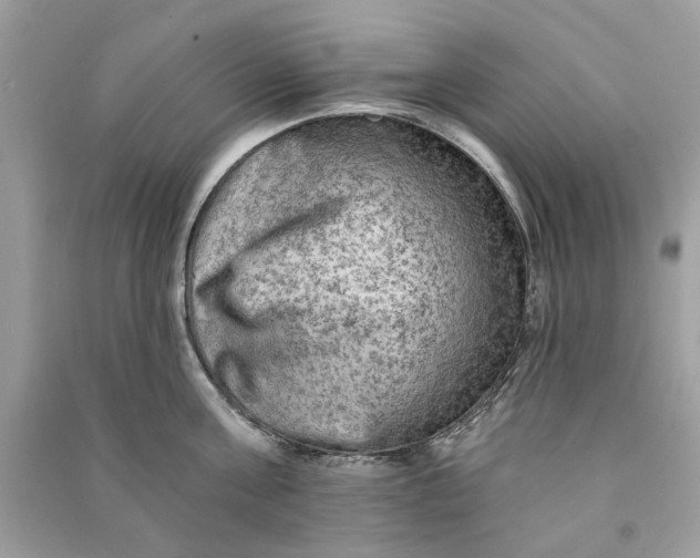 X0000090730811200708101638