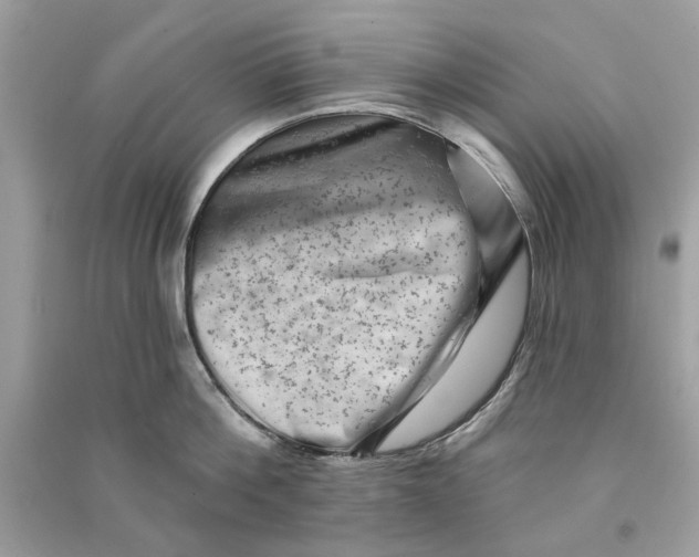 X0000090730812200708101638