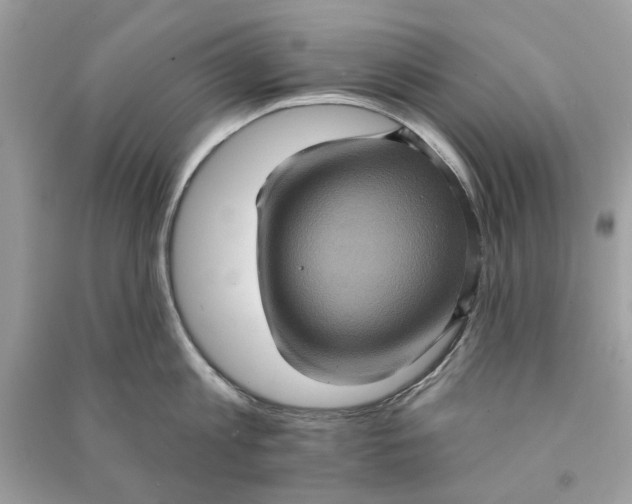 X0000090730813200708101638