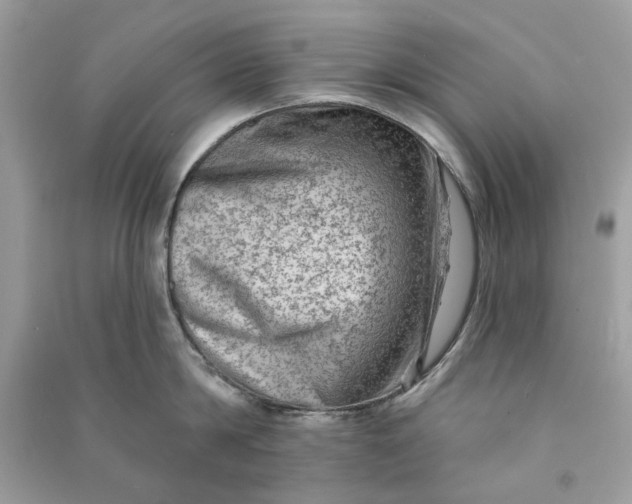 X0000090730814200708101638