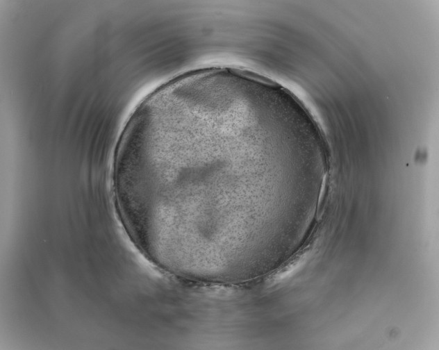 X0000090730815200708101638