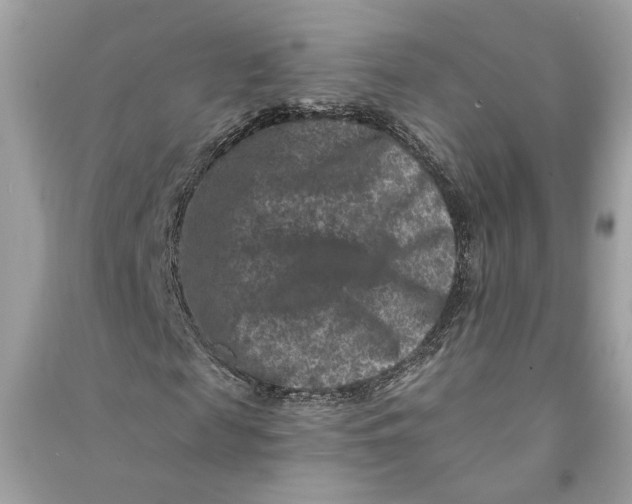 X0000090730817200708101637