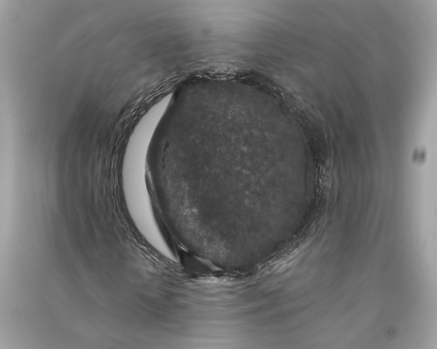 X0000090730818200708101637