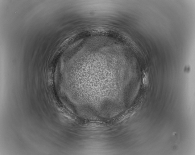 X0000090730819200708101637