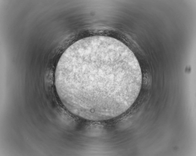 X0000090730820200708101637