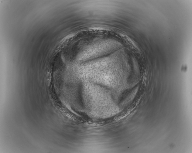 X0000090730821200708101637