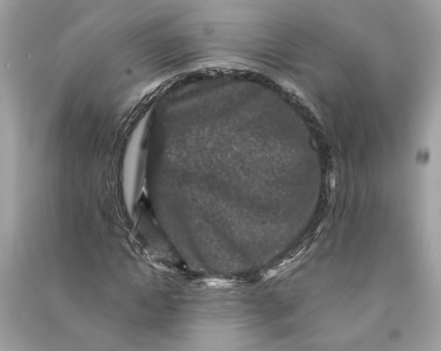 X0000090730822200708101637