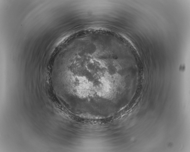 X0000090730823200708101637