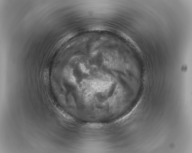 X0000090730825200708101637