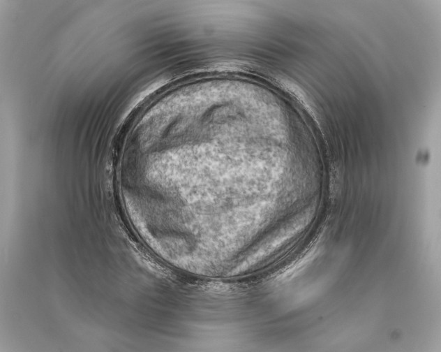 X0000090730827200708101637