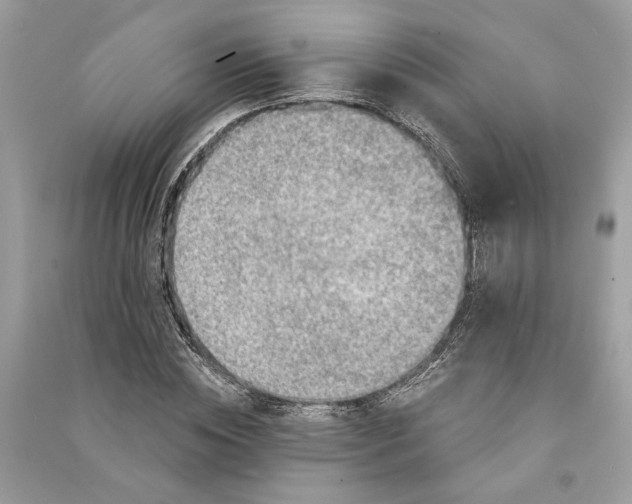 X0000090730828200708101637