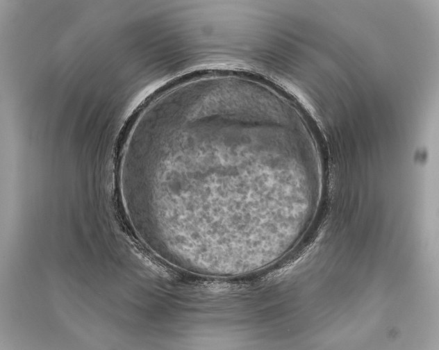 X0000090730829200708101637