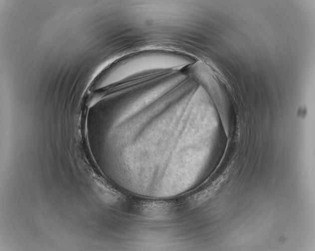 X0000090730830200708101637