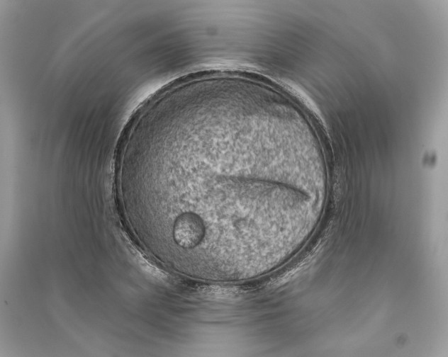 X0000090730831200708101637