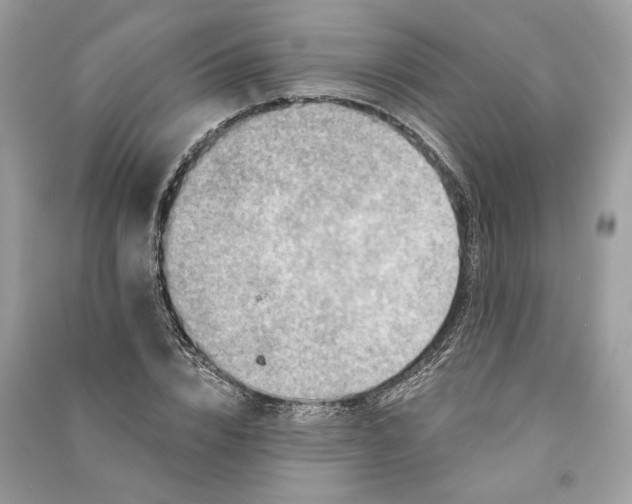 X0000090730832200708101637