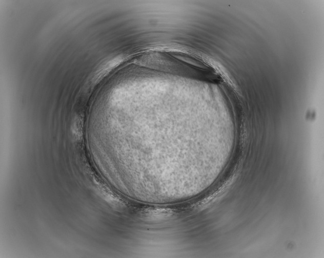 X0000090730833200708101637