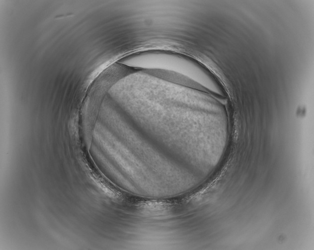 X0000090730834200708101637