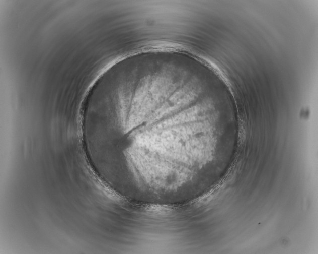 X0000090730835200708101637