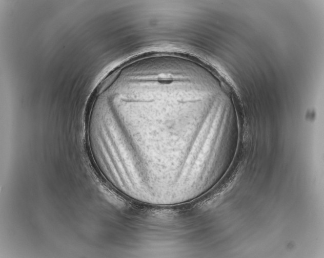 X0000090730837200708101637