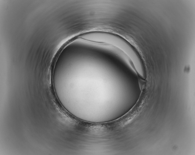 X0000090730838200708101637