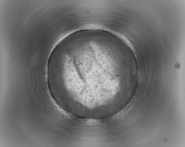 X0000090730839200708101637