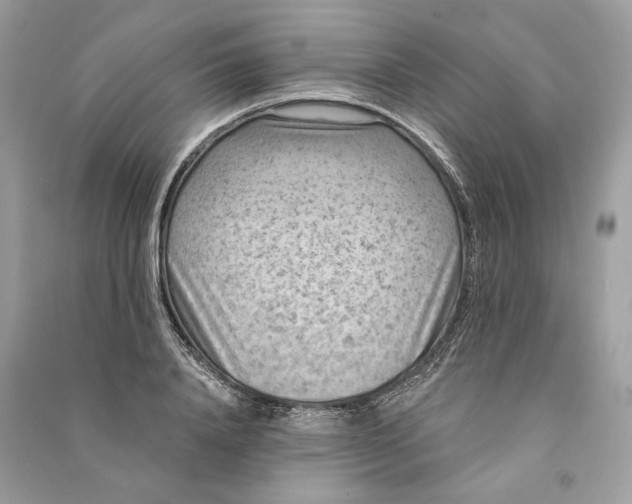 X0000090730840200708101637