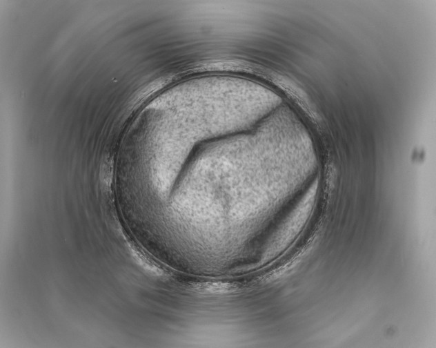 X0000090730841200708101637