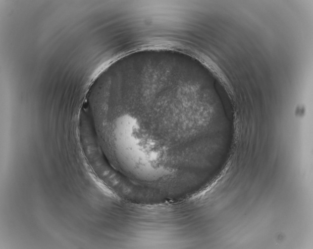 X0000090730842200708101637