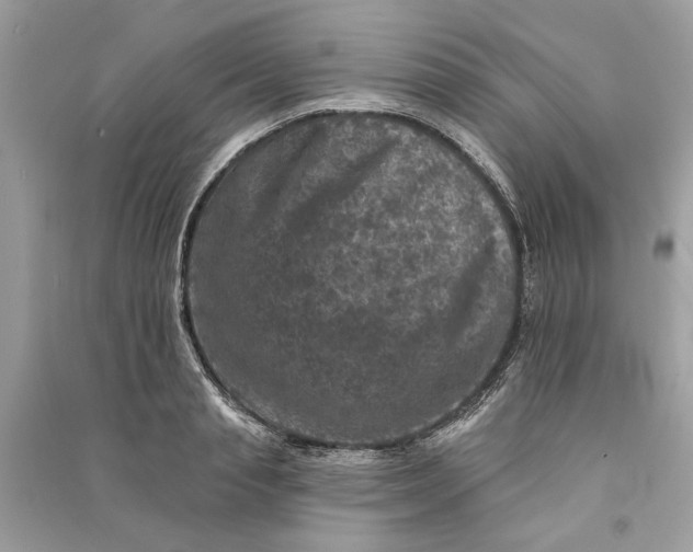 X0000090730845200708101638