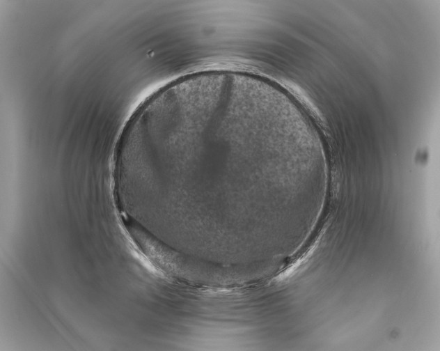 X0000090730846200708101638