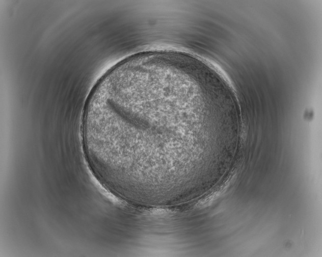 X0000090730847200708101638