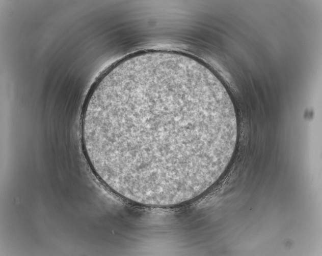 X0000090730848200708101638