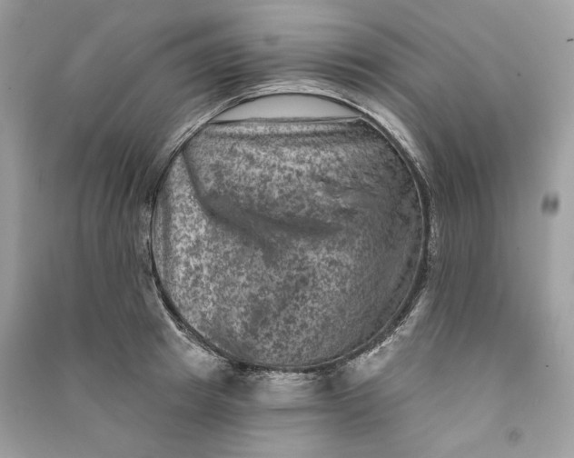 X0000090730849200708101638