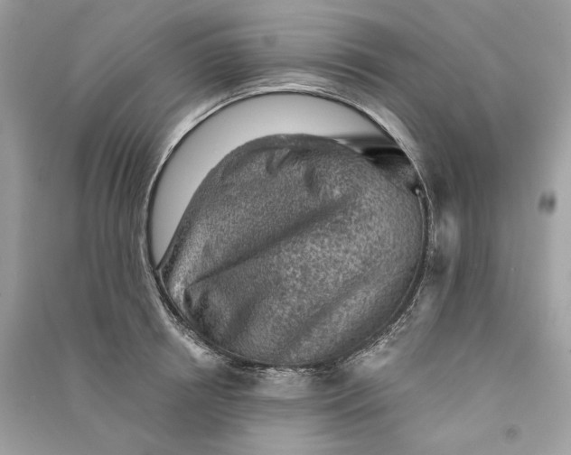 X0000090730850200708101638