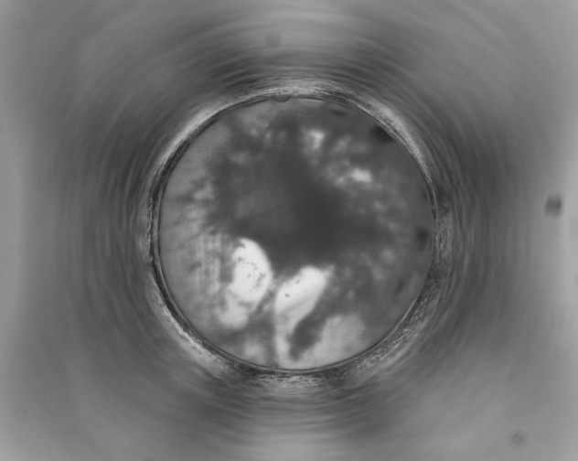 X0000090730851200708101638