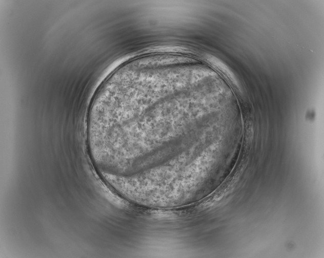 X0000090730852200708101638