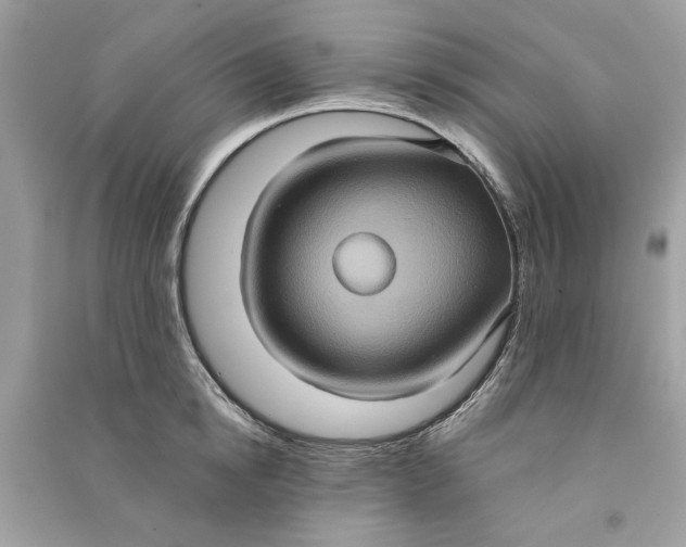 X0000090730854200708101638