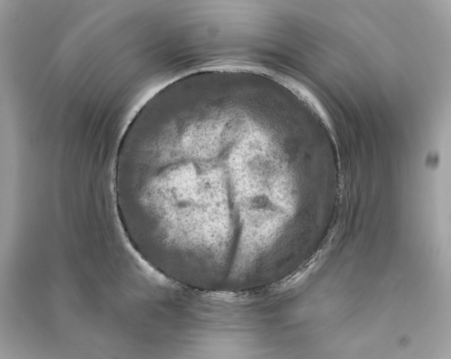 X0000090730855200708101638