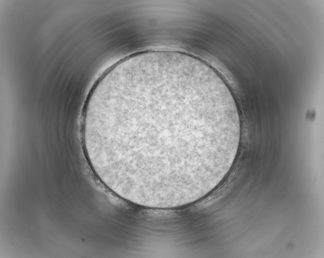 X0000090730856200708101638