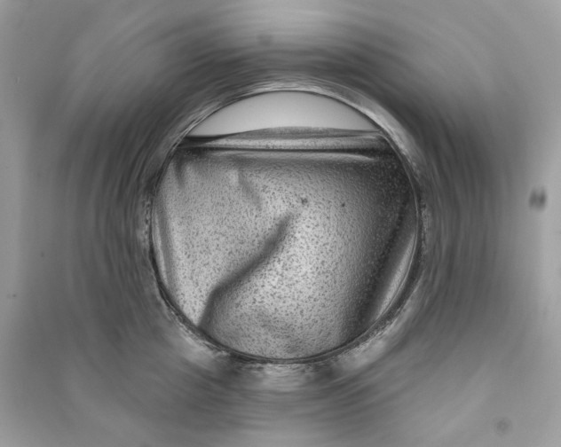 X0000090730857200708101638