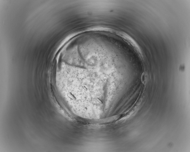 X0000090730860200708101638