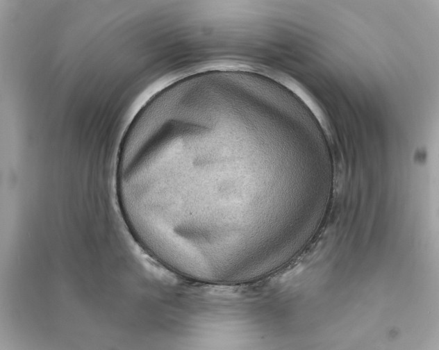 X0000090730861200708101638