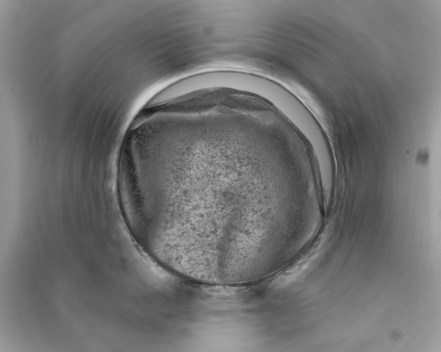 X0000090730862200708101638