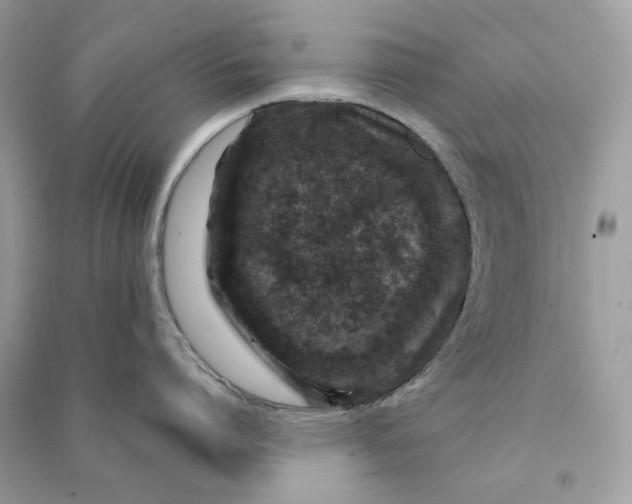 X0000090730864200708101638