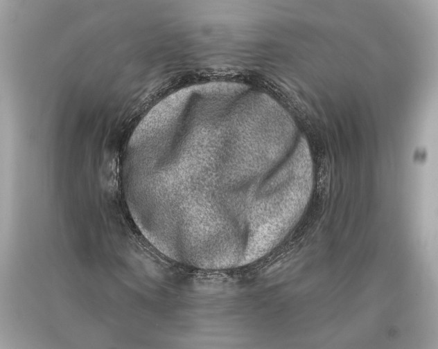 X0000090730866200708101637