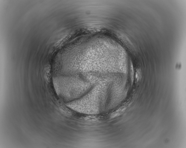 X0000090730867200708101637