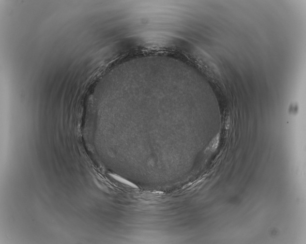 X0000090730868200708101637