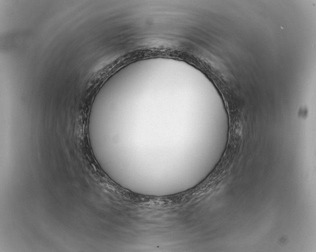 X0000090730869200708101637