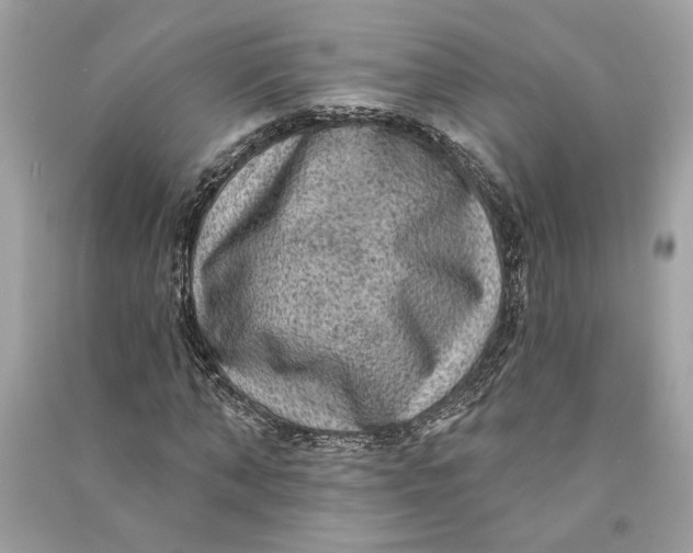 X0000090730870200708101637